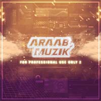 Araabmuzik - For Professional Use Only 2
